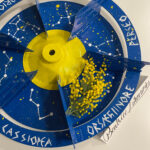 8th March in Ma.ti.ka. main image